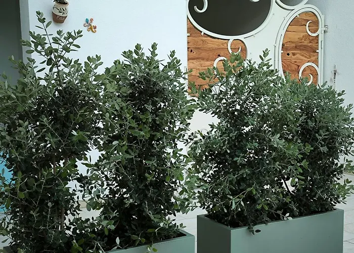 Sykelia - Διαμέρισμα Specchia